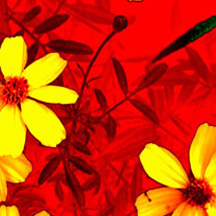 充值网站便宜的攻击网站教程