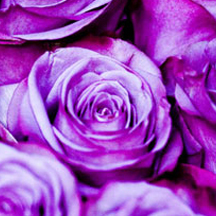 免费ddos在线攻击